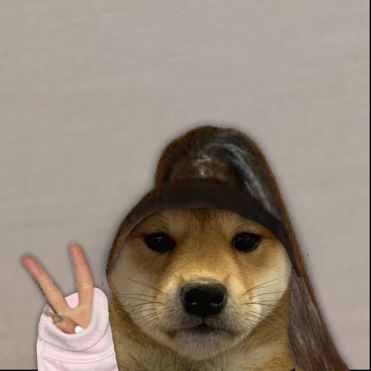 d0gE gRaNde 👁👄👁💅