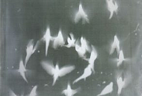 credits to the rightful owner