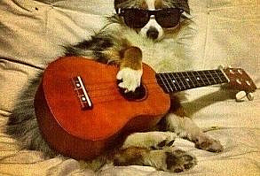 Wrote a song about it. Wanna hear it, here it goes...