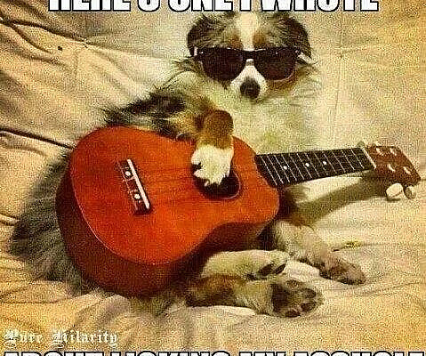 Wrote a song about it. Wanna hear it, here it goes...