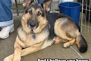 You are buying 1 magnetic refrigerator magnetic in high gloss 20 mill photo paper.