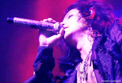 giphy.gif (486×330)