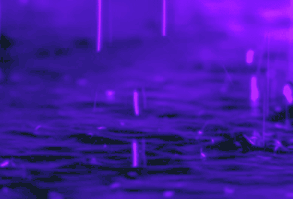 imagines pra você. [you + streamers] #1 em #zero [6 de set, 21'] #fanfic # Fanfic # amreading # books # wattpad