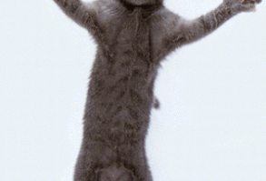 yayınlamamı istediğiniz gifleri atabilirsiniz