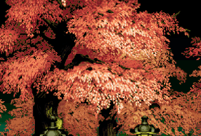 sehunniesmilk: i do not own | edited by (c)