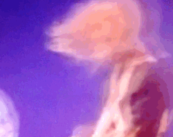 steve clark gif | Tumblr