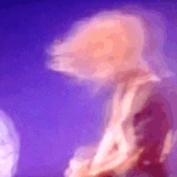 steve clark gif | Tumblr