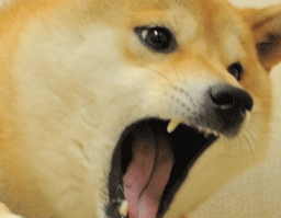 t0ZfPEZ_1_.gif 256×271 pixels