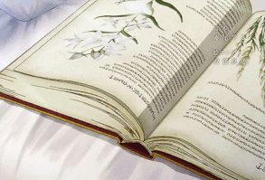 İnsanların kısa süreliğine kullandığı bu sokaklar, Jeon Jungkook'un e… #hayrankurgu # Hayran Kurgu # amreading # books # wattpad