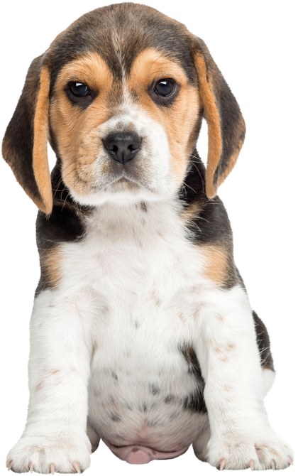 Фото, автор Иришка-Манюшка на Яндекс.Фотках