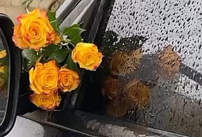 اللهم انك سميعٌ عليم 🌺 | Pinterest