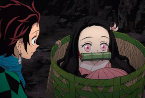 I think, therefore I am