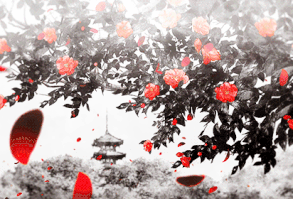 ִֶָ ʚ Déjenme ser egoísta por un momento y así yo poder ser felíz. ɞ … #fanfic # Fanfic # amreading # books # wattpad