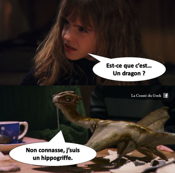 11 clashs qui auraient dû avoir lieu dans Harry Potter