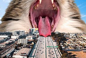 Artist Shows What It Would Be Like If The World Were Inhabited By Giant Cats (92 New Pics)