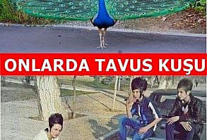 Birbirinden Komik 23 Yaratıcı Onlarda Bizde Caps'i- Onedio.com