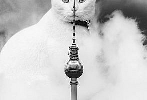 Artist Shows What It Would Be Like If The World Were Inhabited By Giant Cats (92 New Pics)