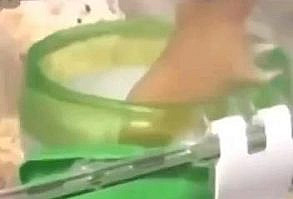 Like&Comment #animals #cuteanimals #hamsters Subscribe!