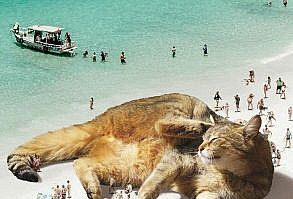 Artist Shows What It Would Be Like If The World Were Inhabited By Giant Cats (92 New Pics)