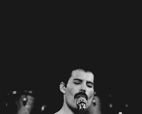 The best gifs on the internet including: queen gif, freddie mercury gif, farrokh bulsara gif, rock gif, preto e branco gif. Page 4