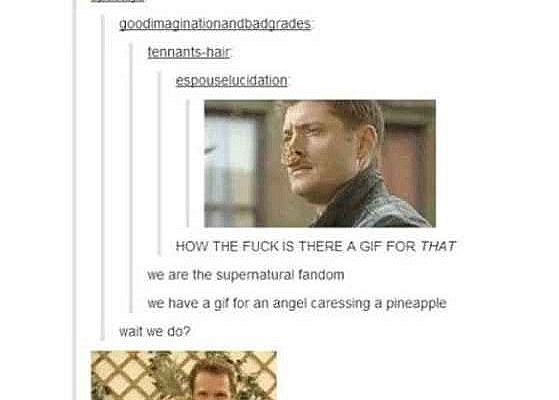They have a GIF for life-ruining leaves: | Definitive Proof That The