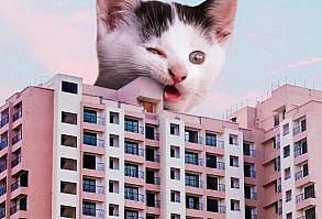 Artist Shows What It Would Be Like If The World Were Inhabited By Giant Cats (92 New Pics)