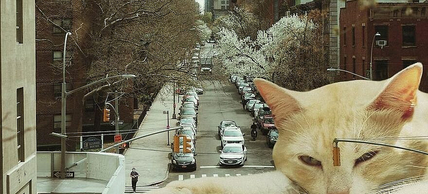 Artist Shows What It Would Be Like If The World Were Inhabited By Giant Cats (92 New Pics)