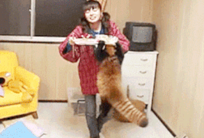 This determined little one.