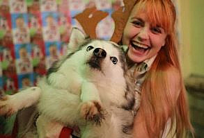 30 Examples of Dogs Being the Funniest Thing on Snapchat - I Can Has Cheezburger? - Funny Cats | Funny Pictures | Funny Cat Memes | GIF | Cat GIFs | Dogs | Animal Captions | LOLcats | Have Fun | Funny Memes