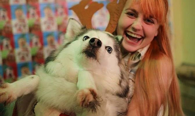 30 Examples of Dogs Being the Funniest Thing on Snapchat - I Can Has Cheezburger? - Funny Cats | Funny Pictures | Funny Cat Memes | GIF | Cat GIFs | Dogs | Animal Captions | LOLcats | Have Fun | Funny Memes