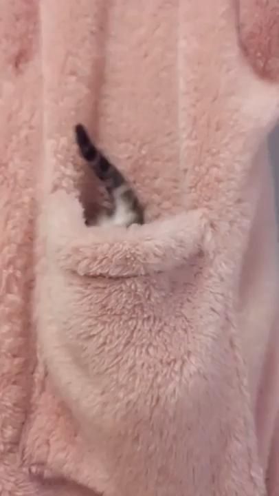 check my youtube channel, link in my profile!