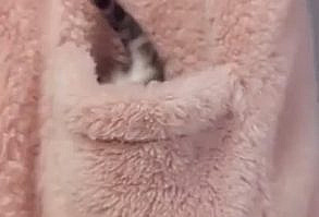 check my youtube channel, link in my profile!