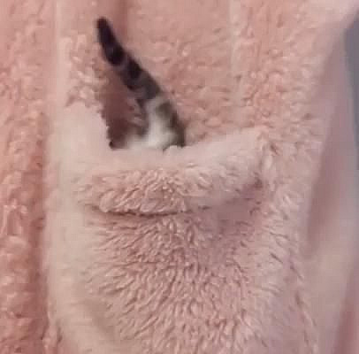 check my youtube channel, link in my profile!