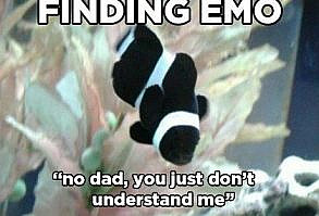 Funny puns; sarcasm; humor; memes; gifs; and just about anything else funny. @FatCatHumor