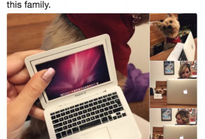 I can't believe this website is free.