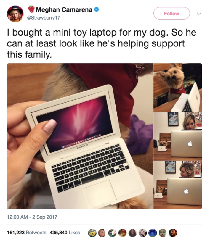 I can't believe this website is free.