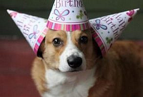 101 Best Happy Birthday Memes to Share with Friends and Family in 2019