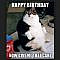 101 Funny Cat Birthday Memes -