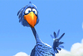 105 Punny Pet Bird Names