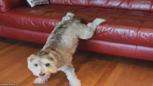Does the things too naughty for human eyes.