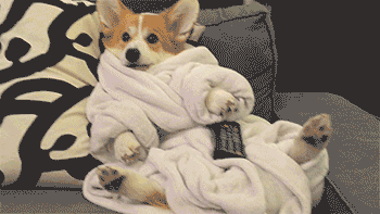 12 Relaxing GIFs to Help You Chill Out