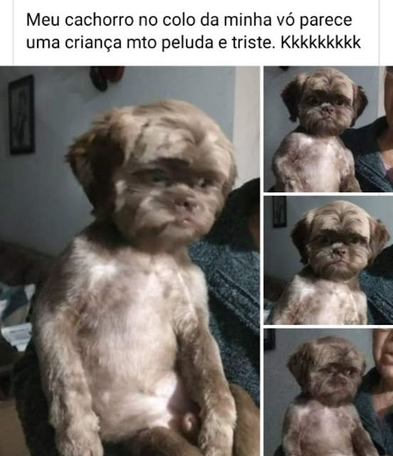 Memes engraçados