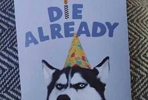 Happy birthday, ya sad sacks! #Birthday #Memes #EventPlanning