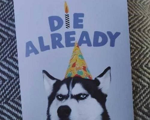 Happy birthday, ya sad sacks! #Birthday #Memes #EventPlanning