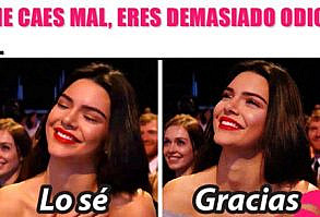 15 razones por las que es bueno tener una planta suculenta