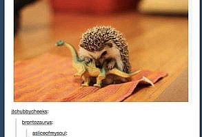 15 Times The Science Side Of Tumblr Provided The Funniest Explanations - I Can Has Cheezburger?