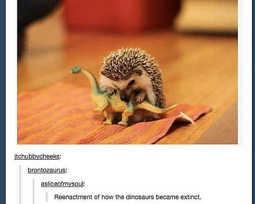 15 Times The Science Side Of Tumblr Provided The Funniest Explanations - I Can Has Cheezburger?