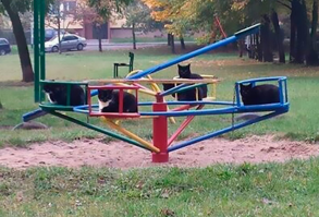 Snapchats Funny Cats