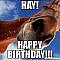 17 Best Happy Birthday Horse Meme