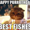 21 Cat Birthday Memes That Are Absolutely Purrrrfect - Funny Gallery
